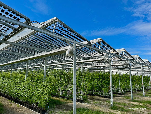 Mehr über den Artikel erfahren Sonnenenergie doppelt genutzt